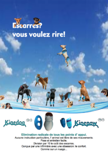 Chiens équipés d’orthèses sur fond de ciel bleu